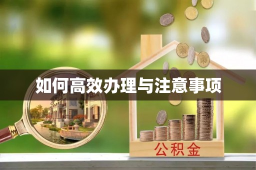 巴林左旗如何高效办理与注意事项