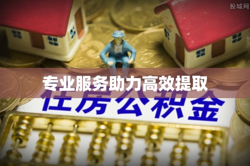 巴林左旗专业服务助力高效提取
