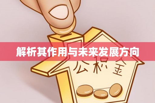 巴林左旗解析其作用与未来发展方向