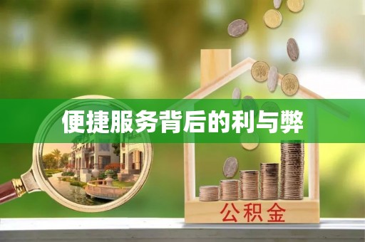 巴林左旗便捷服务背后的利与弊