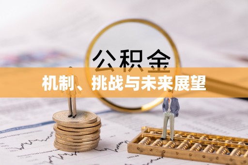 巴林左旗机制、挑战与未来展望